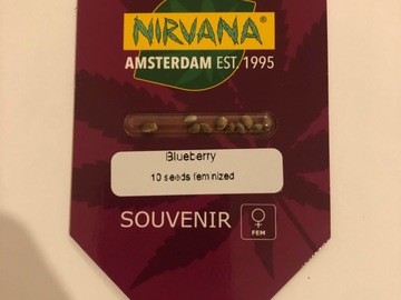 Selling: Nirvana. Blueberry. Feminised pack of 10
