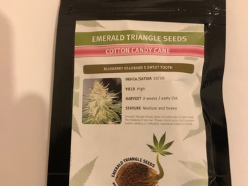 Selling: Emerald Triangle Seeds. Cotton Candy Cane. Feminised pack of 10