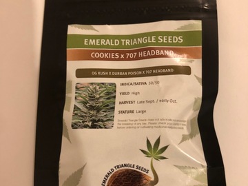 Selling: Emerald Triangle Seedsokies x 707headband.Feminised pack of 10