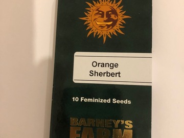 Selling: Barneys Farm. Orange Sherbert. Feminised pack of 10