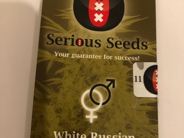 Selling: Serious Seeds. White Russian. Regular pack of 11