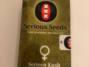 Selling: Serious Seeds. Serious Kush. Feminised pack of 6