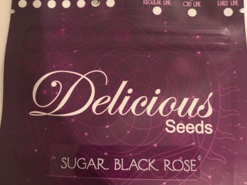 Selling: Delicious Seeds. Sugar Black Rose. Feminised pack of 10