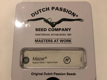 Vente: Dutch Passion Seed Co. Mazar. Regular pack of 10