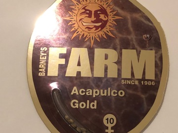 Vente: Barneys Farm. Acapulco Gold. Feminised pack of 10