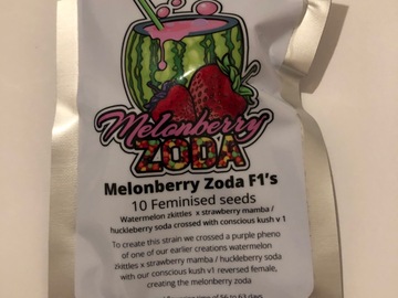 Selling: Conscious Genetics. Melon berry Zoda. Feminised pack of 10