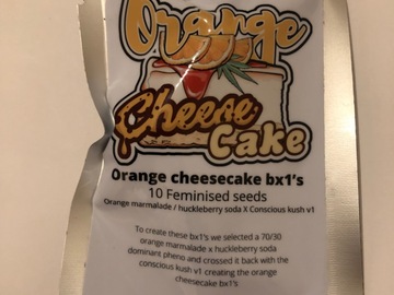 Vente: Conscious Genetics. Orange Cheesecake. Feminised pack of 10