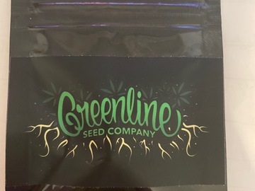 Vente: Greenline Seed Co. Whitefire Oranges. Regular pack of 10