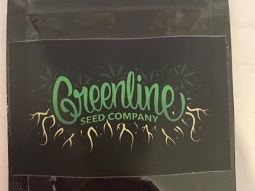 Selling: Greenline Seed Co. Triangle Cherries. Regular pack of 10