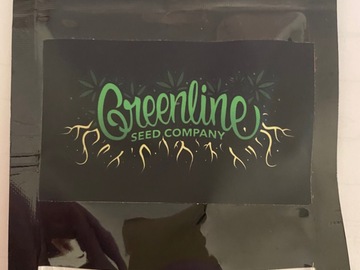 Selling: Greenline Seed Co. Runtz x grape pie x animal cookies