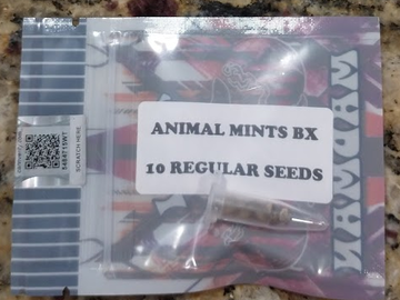 Selling: Tiki Madman - Animal Mints BX