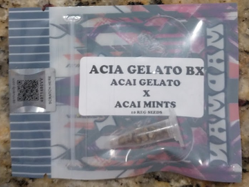 Selling: Tiki Madman - Acai Gelato BX