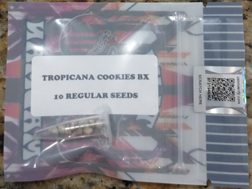 Selling: Tiki Madman - Tropicanna Cookies BX