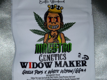 Selling: 10 Pack - Widow Maker (Reg) - [Gorilla Pops x White Widow/GG#4]