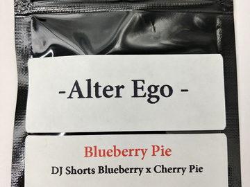 Selling: Blueberry Pie - Cherry Pie x DJ Shorts Blueberry