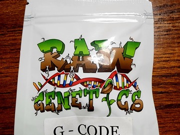 Selling: G-Code (Subzero OG x Georgia Pie) - Raw Genetics