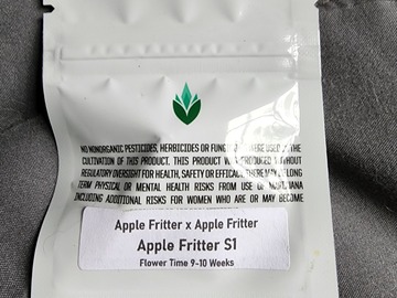 Selling: Apple Fritter S1 - Clearwater Genetics