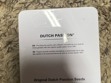 Selling: Dutch passion lemon zittlez