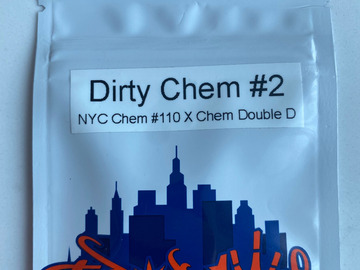 Selling: Top Dawg Seeds – Dirty Chem #2 (NYC Chem #110 X Chem Double D)