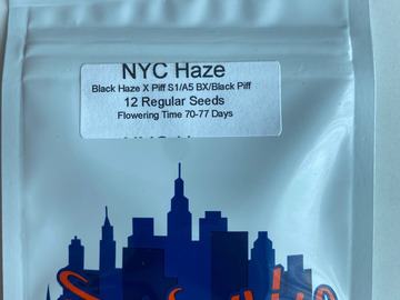 Selling: Top Dawg Seeds – NYC Haze (Black Haze X Black A5 Piff)