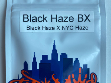 Selling: Top Dawg - Black Haze BX (Black Haze X Black Haze/Black A5 Piff)