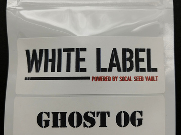 Selling: Ghost OG S1 - (Feminized)