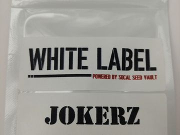 Selling: Jokerz S1 – White Runtz x Jet Fuel Gelato (Feminized)