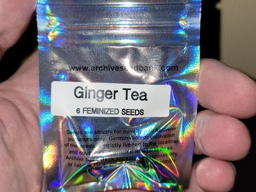 Vente: Ginger Tea 6pk fems by Archive Seed Bank