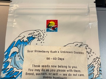 Selling: Surfr Seeds Sour Strawberry Kush x Unknown Cookies 10+ Reg Seeds