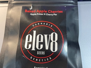 Vente: Elev8 Seeds Baked Apple Cheries 6 Fem Seeds