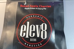 Selling: Elev8 Seeds Baked Apple Cheries 6 Fem Seeds