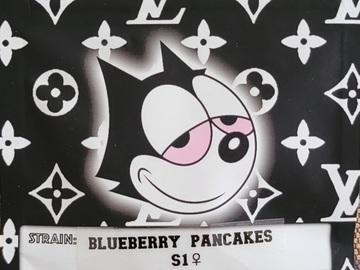 Venta: BlueBerry Pancakes S1 Copycat Genetix ORIGINAL FEMS