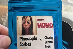 Selling: Terp Fiend - Curse of Momo