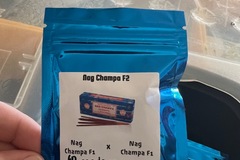 Selling: Terp Fiend - Nag Champa F2