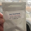 Selling: Sow Good Seeds - Purple Cookie Breath
