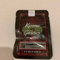 Selling: Karma Genetics Crumbled Melon feminised 6 seed pack