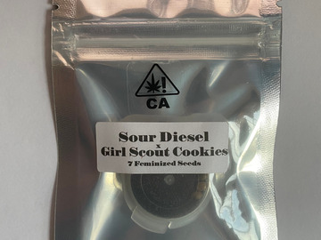 Selling: CSI Humboldt - Sour Diesel x Girl Scout Cookies (CROPTOBER SALE)