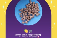 Venta: PTG Photo Line - Lemon Grove Raspadoz (Free Shipping!)