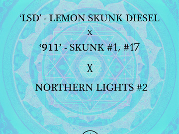 Venta: Lemon Skunk Diesel x 90's Skunk #1, #17 X Northern Lights #2
