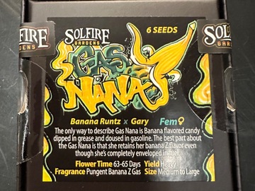Vente: Solfire Gardens - Gas Nana - (Banana Runtz x Gary P)