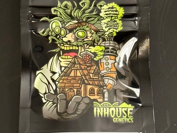 Sell: InHouse Genetics - Platinum Gorilla (Platinum x GG4) In House IHG