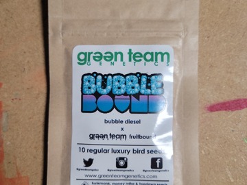Vente: Green Team Genetics - Bubble Bound