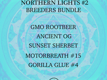 Venta: Northern Lights #2 - 5 Pack Breeders Bundle - 75 Total Seeds