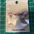 Sell: Garanimals-Cannarado Genetics