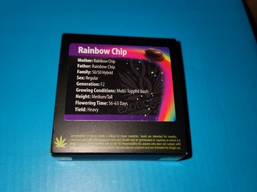 Sell: Rainbow chip (exotic genetics)