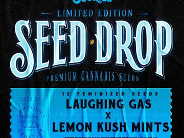 Sell: Lemon Kush Mintz x Laughing Gas - Compound/Cookies (Rare)