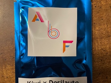 Sell: ABF Genetics- Kiwi x Dosilato-Autoflowers