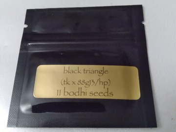 Sell: Black trangle by bodhi seeds