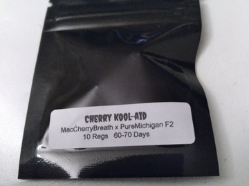 Sell: Cherry Kool aid by freak genetics