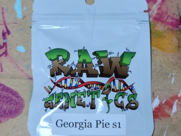 Sell: Raw Genetics - Georgia Pie S1
